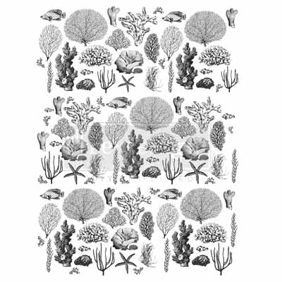 Redesign | Transfer | Costal Sealife | LIQUIDATION SALE