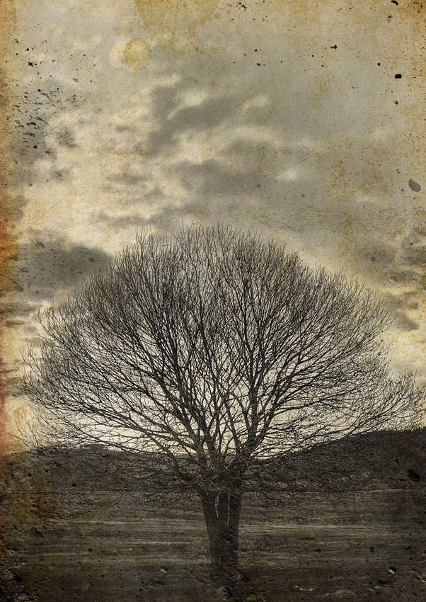 Mint Decoupage Paper |Sepia Tree