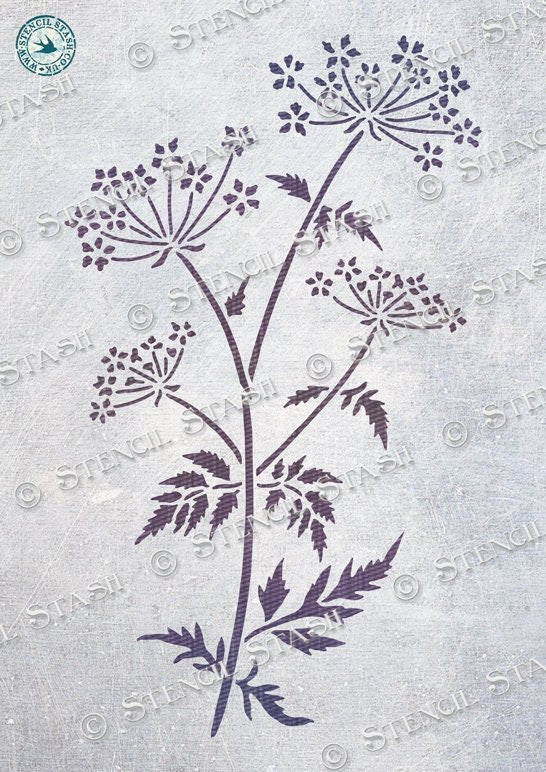 Wild Cow Parsley Stencil