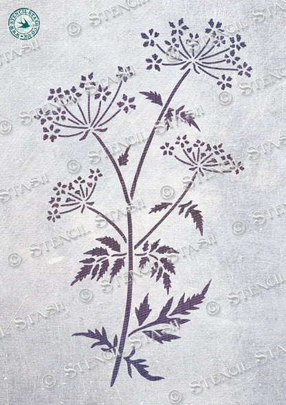 Wild Cow Parsley Stencil